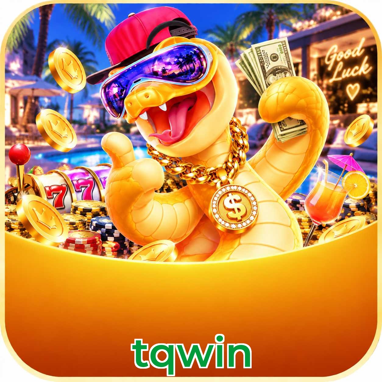 Comparação APP Mobile vs Versão Web tqwin